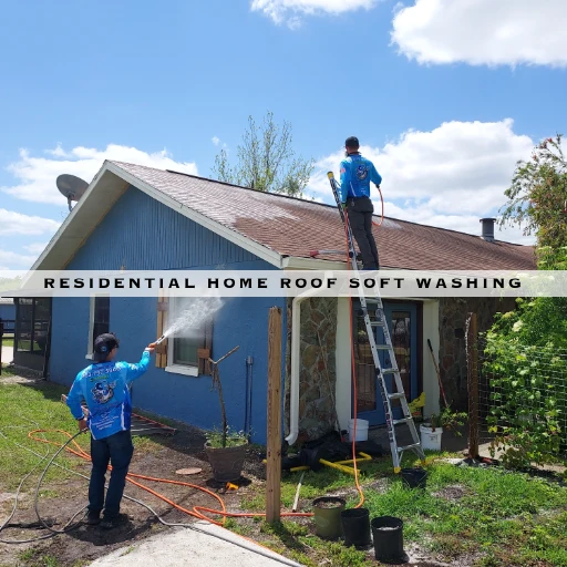 RESIDENTIAL HOME ROOF SOFT WASHING - ICON