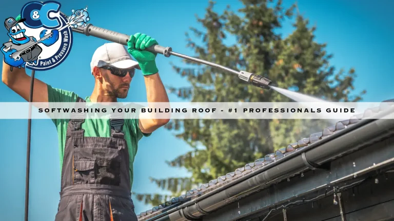 Softwashing Your Building Roof – #1 Professionals Guide