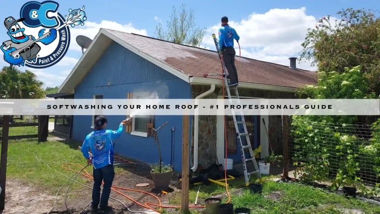 Softwashing Your Home Roof – #1 Professionals Guide