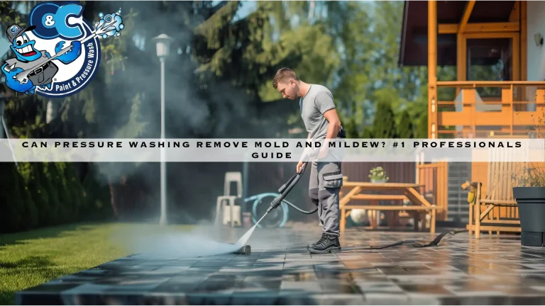 Can Pressure Washing Remove Mold And Mildew? #1 Professional’s Guide