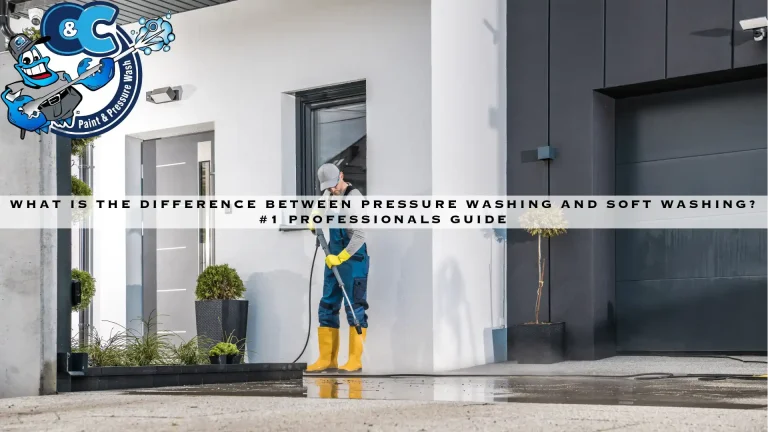 What Is The Difference Between Pressure Washing And Soft Washing? #1 Professionals Guide