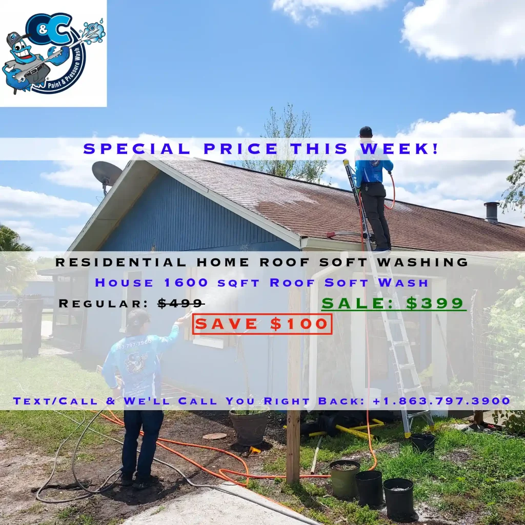 SALE - RESIDENTIAL HOME ROOF SOFT WASHING