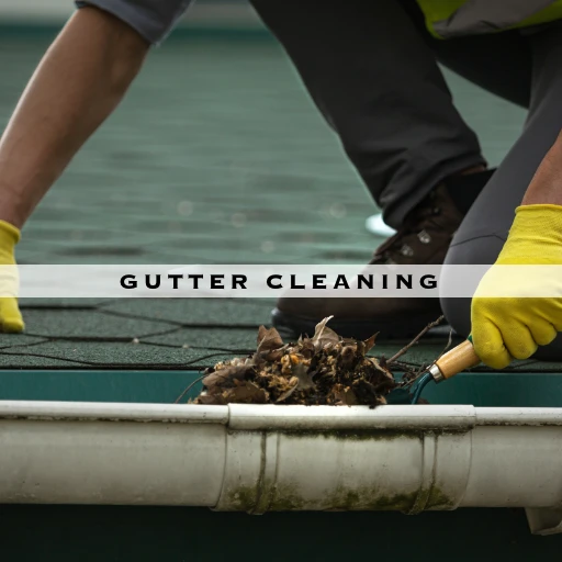 GUTTER CLEANING