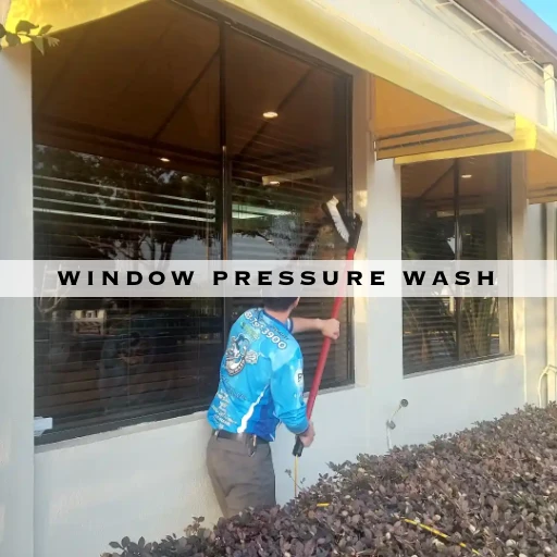 WINDOW PRESSURE WASH